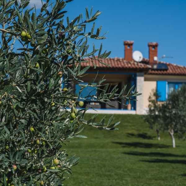 Villa Evelyn, Villa Evelyn Fažana