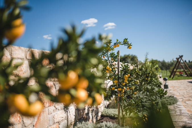 Exterior, Villa Evelyn Fažana